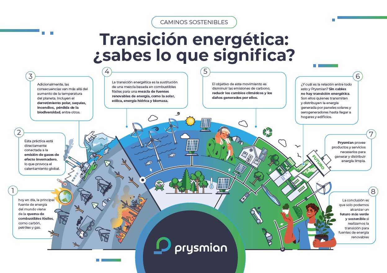 Infográfico PT